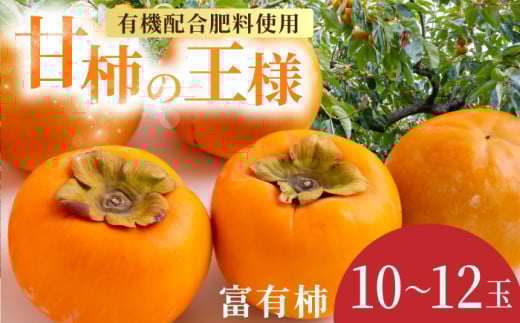【先行予約】有機配合肥料使用 富有柿 10玉から12玉 2025年11月上旬から11月下旬 出荷予定【春光園】 柿 かき 甘柿 甘い 果物 フルーツ