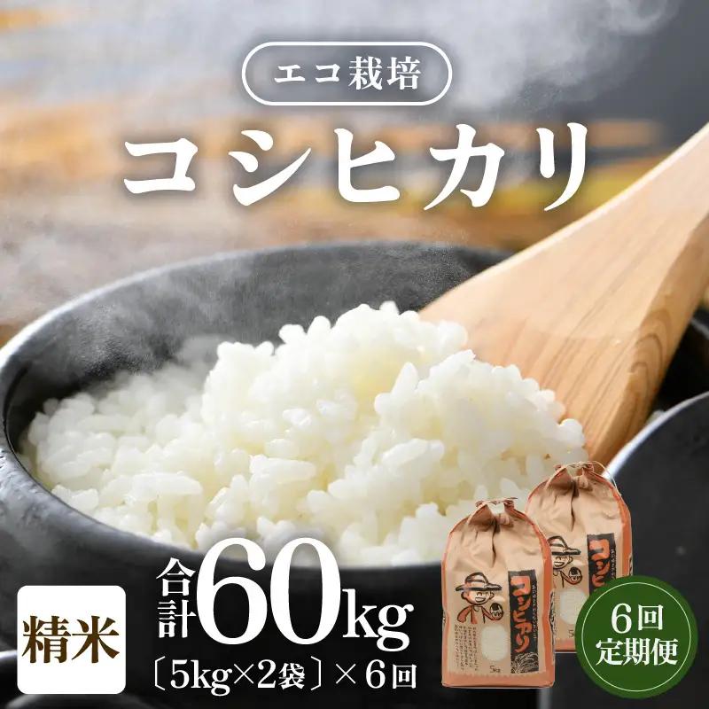 【先行予約】【令和8年産 新米】《定期便6回》エコ栽培コシヒカリ 白米10kg（5kg×2袋）計60kg ／ 鮮度抜群 福井県産 こしひかり ご飯 新鮮 白米 ※2026年10月上旬以降順次発送 [aw063-k010]