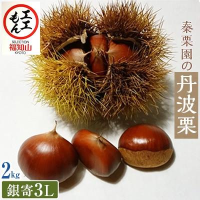 ふるさと納税 福知山市 秦栗園の丹波栗 銀寄3L 2kg 生栗 大粒 10月上旬発送