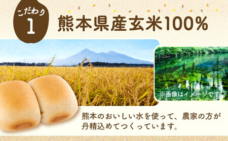 玄米パン 3回定期 パン 20個 BHAF005