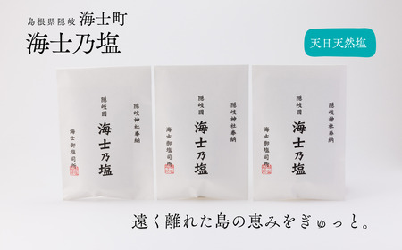 海士乃塩 塩  100g×3個 塩