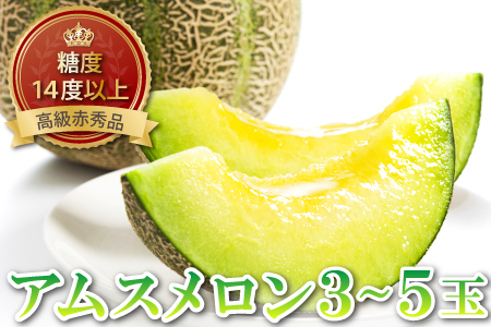B-1150 糖度14度以上のアムスメロン 高級赤秀品　1ケース(3～5玉)