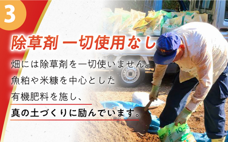 【自然の力を活かした栽培】温州みかん（早生） 5kg -2025年11月中旬より発送- 農事組合法人希望種（きぼうのたね）[ECQ003]  みかん ミカン 柑橘 温州みかん 果物 くだもの フルーツ