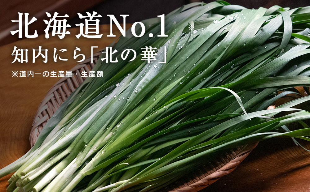 【2025年発送予約】知内産 1番ニラ「北の華」20束【JA新はこだて】