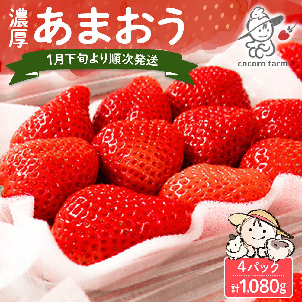 【ふるさと納税】【先行予約】あまおう 1080g (270g×4パック) ココロファームの濃厚あまおう【2027年1月下旬〜3月下旬発送】《豊前市》【ココロファーム】[VAE022] 苺 いちご イチゴ あまおう ストロベリー 果物 フルーツ 人気 旬 福岡県産 ギフト 贈答 産地直送