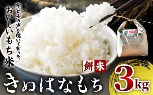 【2026年先行予約】きぬはなもち(もち米)  3kg | お米 米 もち米 栃木県 矢板市