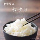 【ふるさと納税】千葉県産粒すけ　 ／ お米 精米 ツヤツヤ 送料無料 千葉県