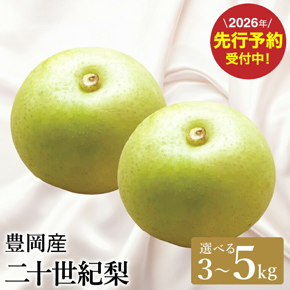【ふるさと納税】【2026年先行予約】二十世紀梨 3kg（7～9個）・5kg（12個～16個） / 梨 産地直送 みずみずしい シャリシャリ 食感 さっぱり バランスの良い 酸味 甘味 減農薬 なし ナシ 果物 くだもの フルーツ ふくい農園