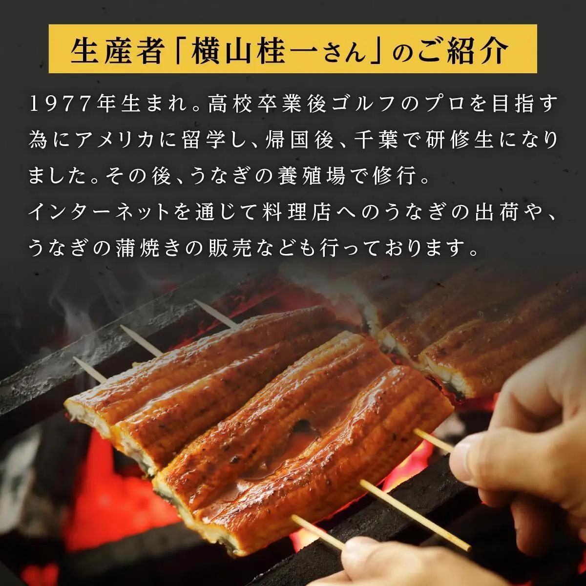 横山桂一さんのS級 鰻 大３尾（計450g）| うなぎ うなぎ