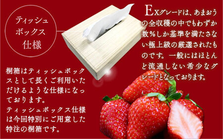 ティッシュボックス用特別仕様の桐箱入りプレミアムあまおう あまおうEX400g×1パック 先行予約※2024年2月上旬から4月中旬にかけて順次出荷予定 MY010