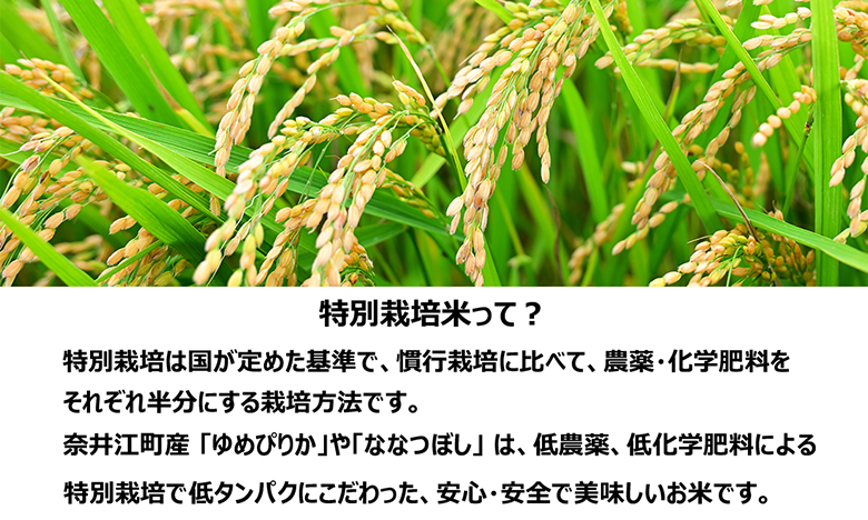 北海道奈井江町 特別栽培米 ななつぼし 10kg