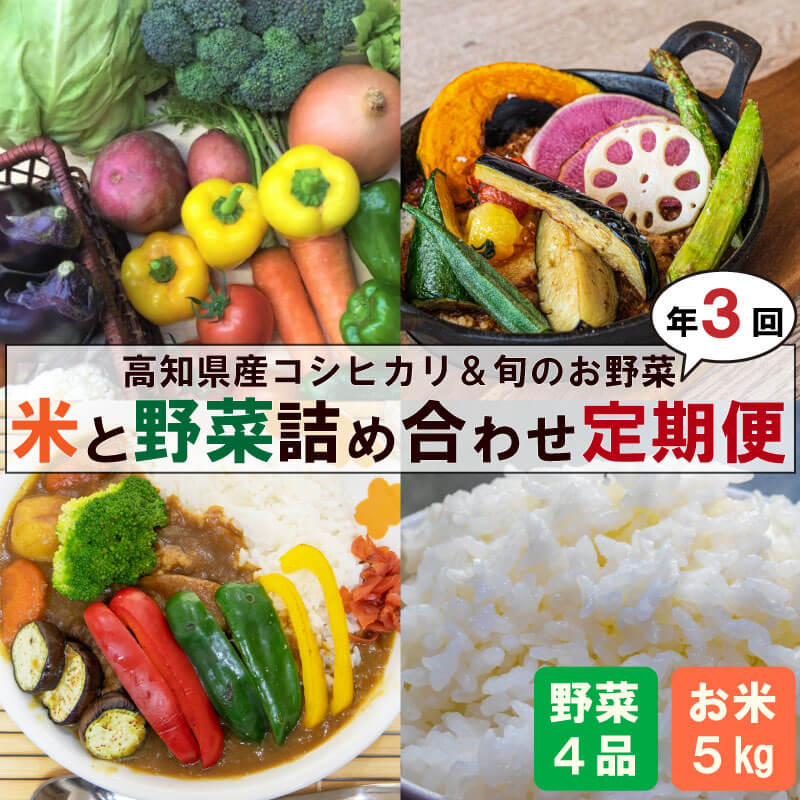 【ふるさと納税】 新米 野菜 3ヶ月定期便 8月末から順次発送 コシヒカリ 5kg 野菜 4品以上 セット ｜ 新鮮 朝採れ 野菜 ごはん 米 お米 白米 精米 セット 詰め合わせ 産地直送 高知 須崎 きゅうり 大根 ナス トマト じゃがいも カボチャ さつまいも キャベツ 白菜 トマト