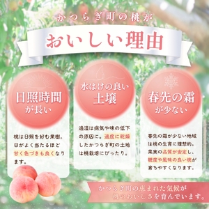 ＜甘い香りと果汁が自慢＞桃 6～8玉【2025年7月上旬～8月上旬頃順次発送】【A185-frks082】