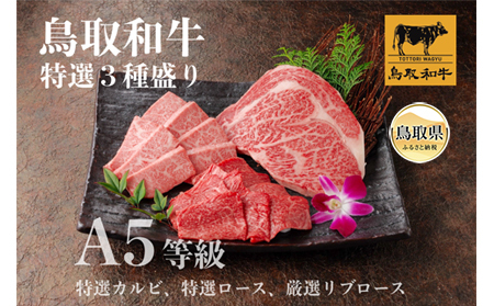 D24-157 鳥取和牛 A5等級 特選３種盛り（特選カルビ150g、特選ロース150g、厳選リブロース200g）【数量限定】
