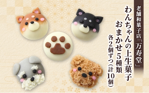 創業明治44年［菓子司 万寿堂］わんちゃんの上生菓子 おまかせ5種類 各2個ずつ（計10個）秋田 羽後 西馬音内 【菓子 和菓子 生菓子 上生菓子 スイーツ かわいい 高級 老舗 お取り寄せ ギフト】