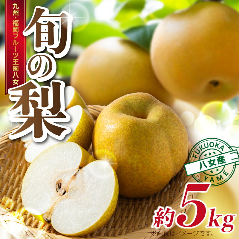 【ふるさと納税】【先行予約】【2027年9月～10月上旬発送予定】九州福岡フルーツ王国八女 旬の梨 約5kg ＜配送不可：北海道・沖縄・離島＞ フルーツ くだもの 果物 なし ナシ 甘太 新興 王秋 産地直送 旬 秋の味覚 デザート 九州 福岡 フルーツ王国 八女