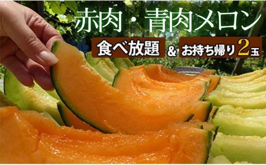 
            タカミメロンの食べ放題＆お持ち帰りメロン2玉（30分）2名様分
          