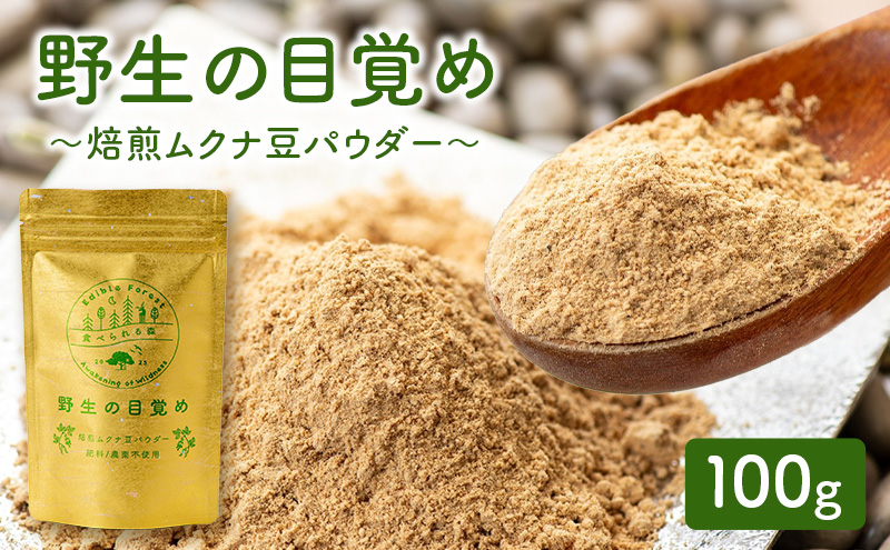 パウダー 健康食品 ムクナ豆 三重県 名張市 第三制作 焙煎 健康 ヘルシー ギフト 贈り物 サプリ 飲料 自然 栄養 健康茶 ノンカフェイン カフェインレス 飲みやすい マイルド ダイエット 体質 自然派 オーガニック 温活 朝活