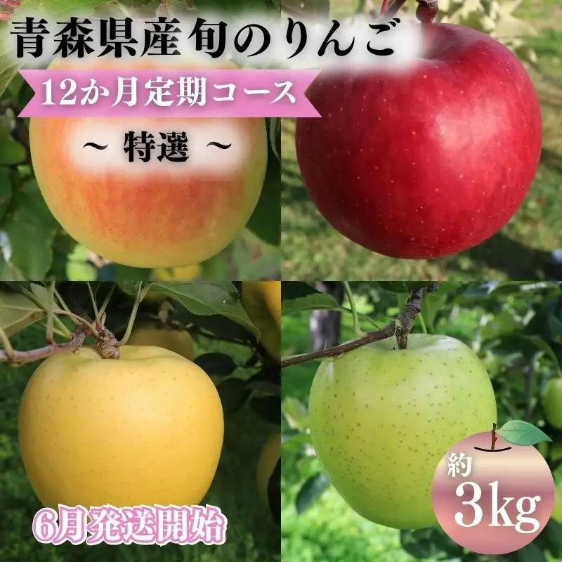 りんご 【2027年6月発送開始】 12ヶ月定期便 約3kg 特選 りんご