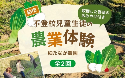 不登校児童生徒の農業体験（2回） 〈 学び 食育 収穫体験 農業体験 体験 収穫 野菜 子供 親子 農作物 ふるさと納税 柏 〉 [№5412-0237]