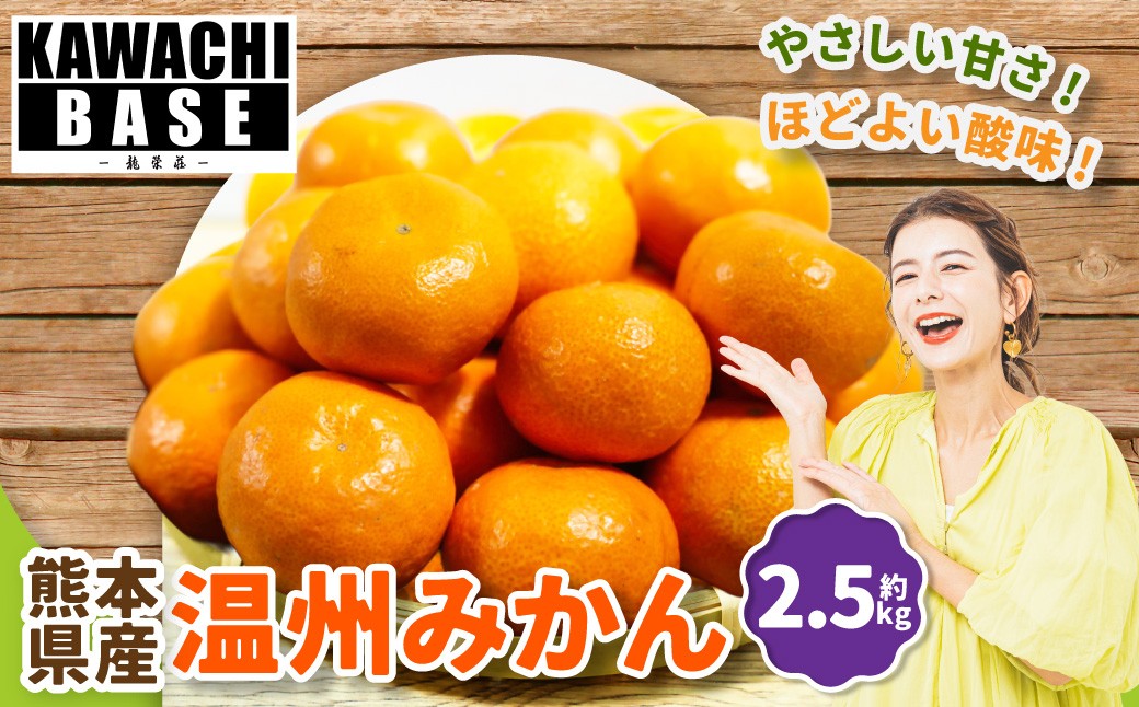 
                  熊本県産 温州みかん 2.5kg みかん ミカン 柑橘類 柑橘系 甘さ 酸味 柑橘 国産 果物 くだもの フルーツ 【2026年11月上旬発送開始】
                