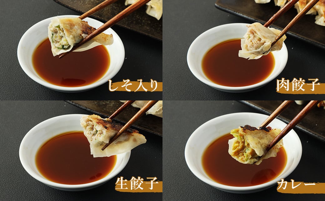 熊本県産 火の君ポーク® 詰め合わせ＋火の君ポーク® 使用餃子セット 餃子 ポーク 詰め合わせ ギフト 九州