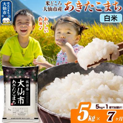 ふるさと納税 大仙市 米《7ヶ月》あきたこまち【白米】  令和7年産 5kg|22_ssn-010507_sf