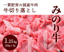 【ふるさと納税】【ミノリフーズ】みのり牛切り落とし 1.25kg（250g×5パック） 052009