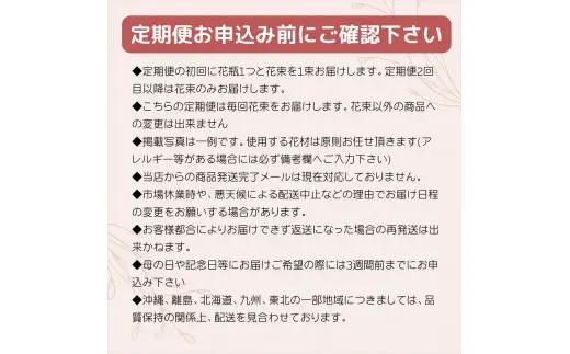 【月2回（全24回）】《数量限定・花瓶付き》～スタンダードstyle～季節の花束定期便（全24回）月2回お届け×12カ月【 花 お花 神奈川県 小田原市 花 花 】