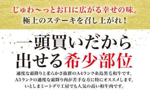 【全6回 定期便 】【極上 ステーキ 】合計 600g (6枚入) ハネシタロース ランプ A4ランク 糸島 黒毛和牛 【糸島ミートデリ工房】[ACA170] 希少 ステーキ ランプ ロース 牛肉 赤