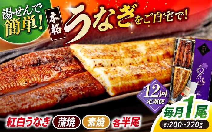 
                  【12回定期便】うなぎ老舗専門店のパリっとふっくら 紅白うなぎ 蒲焼・素焼半身　(真空パック/秘伝のタレ・藻塩付き) 島根県松江市/株式会社山美世商会 [ALDC018]｜国産 うなぎ ウナギ 鰻 特大 蒲焼き 蒲焼 国産 冷蔵 うな重 定期便 
                