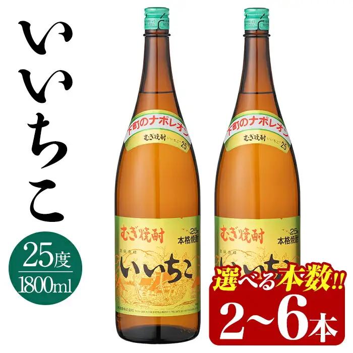 いいちこ ビン 25度(1800ml×2本)酒 お酒 焼酎 麦焼酎 アルコール 三和酒類【114002000】【一般社団法人　地域商社USA】