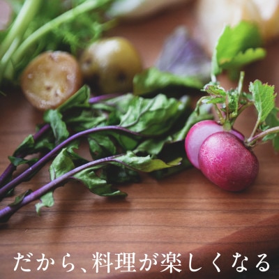 【毎月定期便】しあわせ野菜畑の有機野菜 Sセット (安心の有機JAS認証 オーガニック野菜)全6回【配送不可地域:離島・北海道・沖縄県・四国・九州】