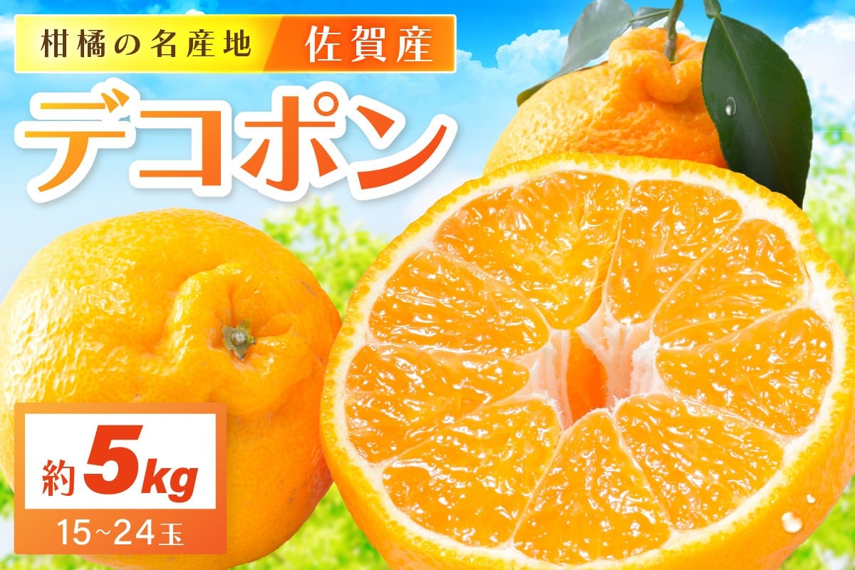 
            佐賀産 デコポン 約5kg (15-24玉) (伊万里市) 柑橘類 147-B803
          
