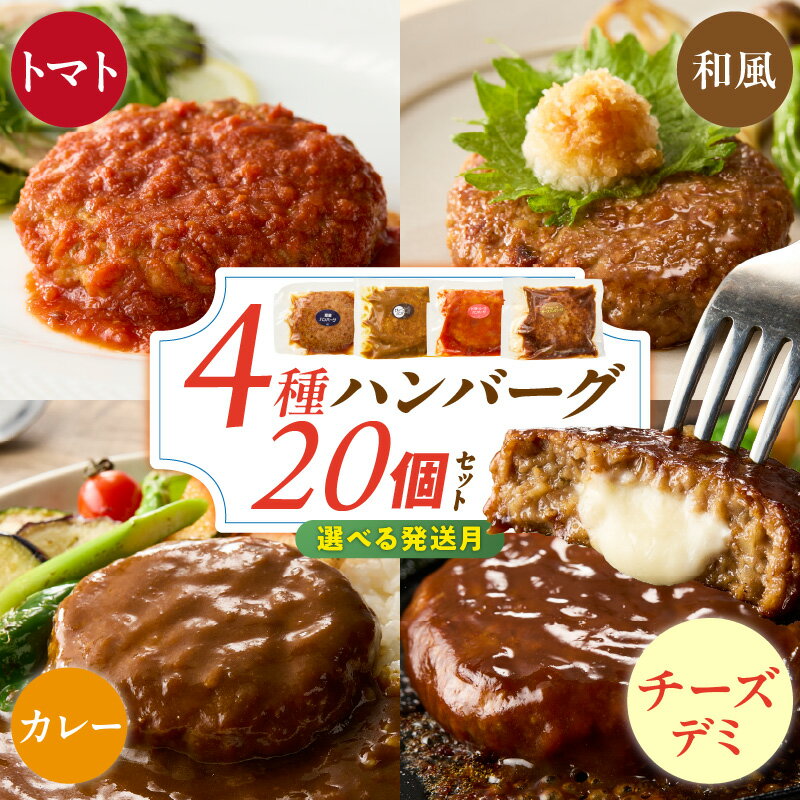 【ふるさと納税】選べる発送月 ハンバーグ 4種 20個 チーズデミ 和風 トマトソース カレーソース 各5個 冷凍 温めるだけ 湯煎 電子レンジ 個包装 小分け 食べ比べ チーズインハンバーグ 夕食 おかず お弁当 簡単調理 時短 お取り寄せ グルメ 福岡県 久留米市 送料無料