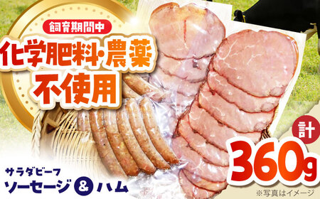 サラダビーフ ソーセージ&ハムセット（ソーセージ100g×2袋・ボンレスハム80g×2袋）ハム ハム ハム ハム ハム ハム[BEAH007]
