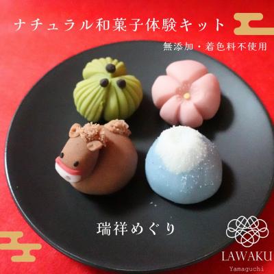 ふるさと納税 山口市 ナチュラル和菓子体験キット(こしあん) D244