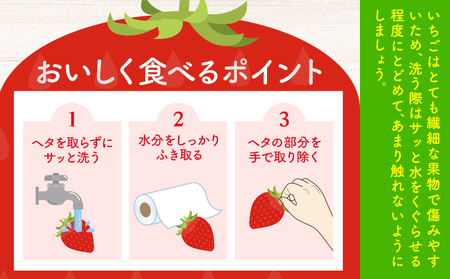 いちご 苺 イチゴ 2種 食べ比べ お試し 15粒 約450g 鳥羽いちご園 阿波ほうべに 紅ほっぺ 《1月上旬-3月下旬頃発送予定》いちご イチゴ 苺 お試しサイズ 2種食べ比べ 徳島県 オリジナル