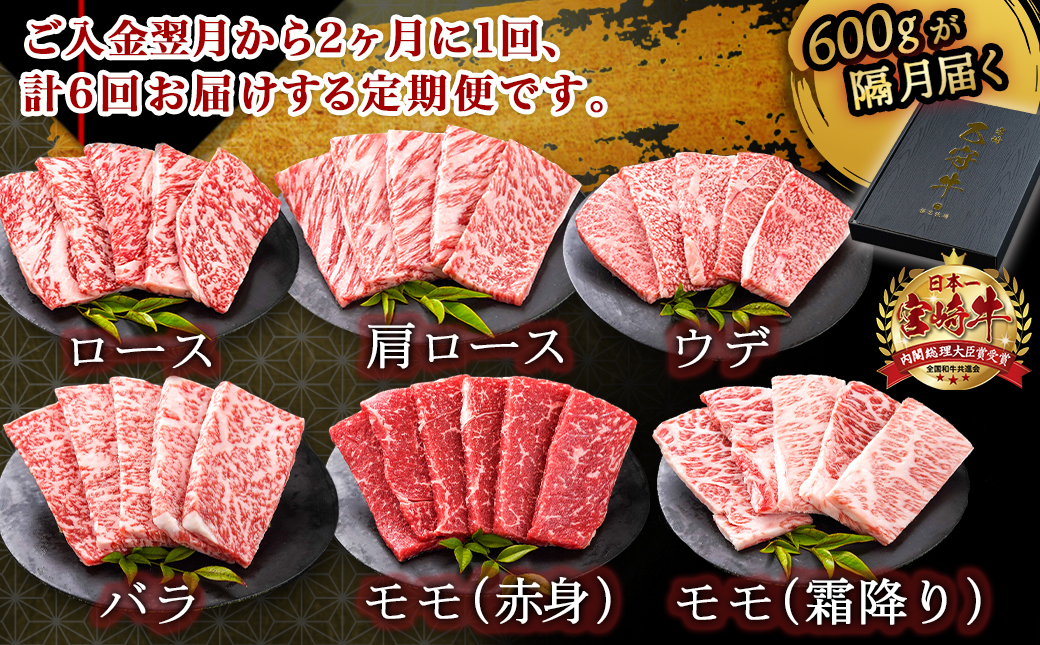 ≪限定200セット≫隔月6回お届け!【宮崎牛A5】焼肉6種盛り(乙守牛）_T192-6-6501