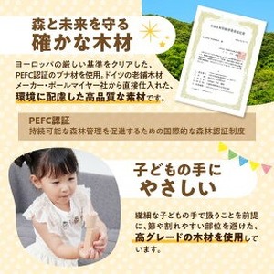 【ギフト対応OK！】小さな大工さん ドミノ_積み木 ドミノ 500個 おもちゃ 玩具 ギフト 木製 無垢 ドイツ木材 小さな大工さん 子ども 知育玩具 木育 体感 贈り物 プレゼント 出産祝い 誕生日