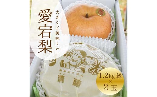 岡山県産 甘くてジューシー！大玉の愛宕梨2玉入(１玉1.2kg級) 梨 和梨  赤梨 あたご梨 デザート フルーツ 果物 くだもの 果実 食品 TY0-0903