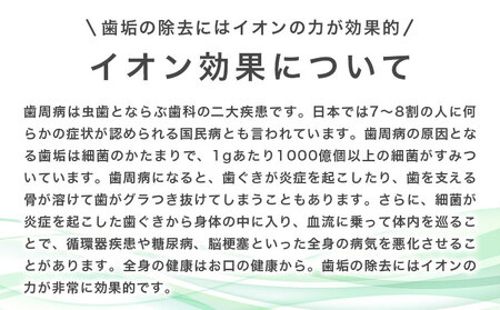 歯ブラシ 替え 薄型極細コンパクト替えブラシセット 24本 《30日以内に出荷予定(土日祝除く)》 アイオニック 歯ブラシ 替えブラシ 歯磨き 薄型 イオン 千葉県 流山市