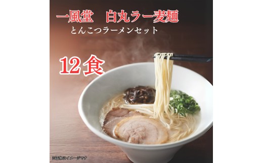 DK-003_【一風堂】一風堂白丸ラー麦麺セット（12食）