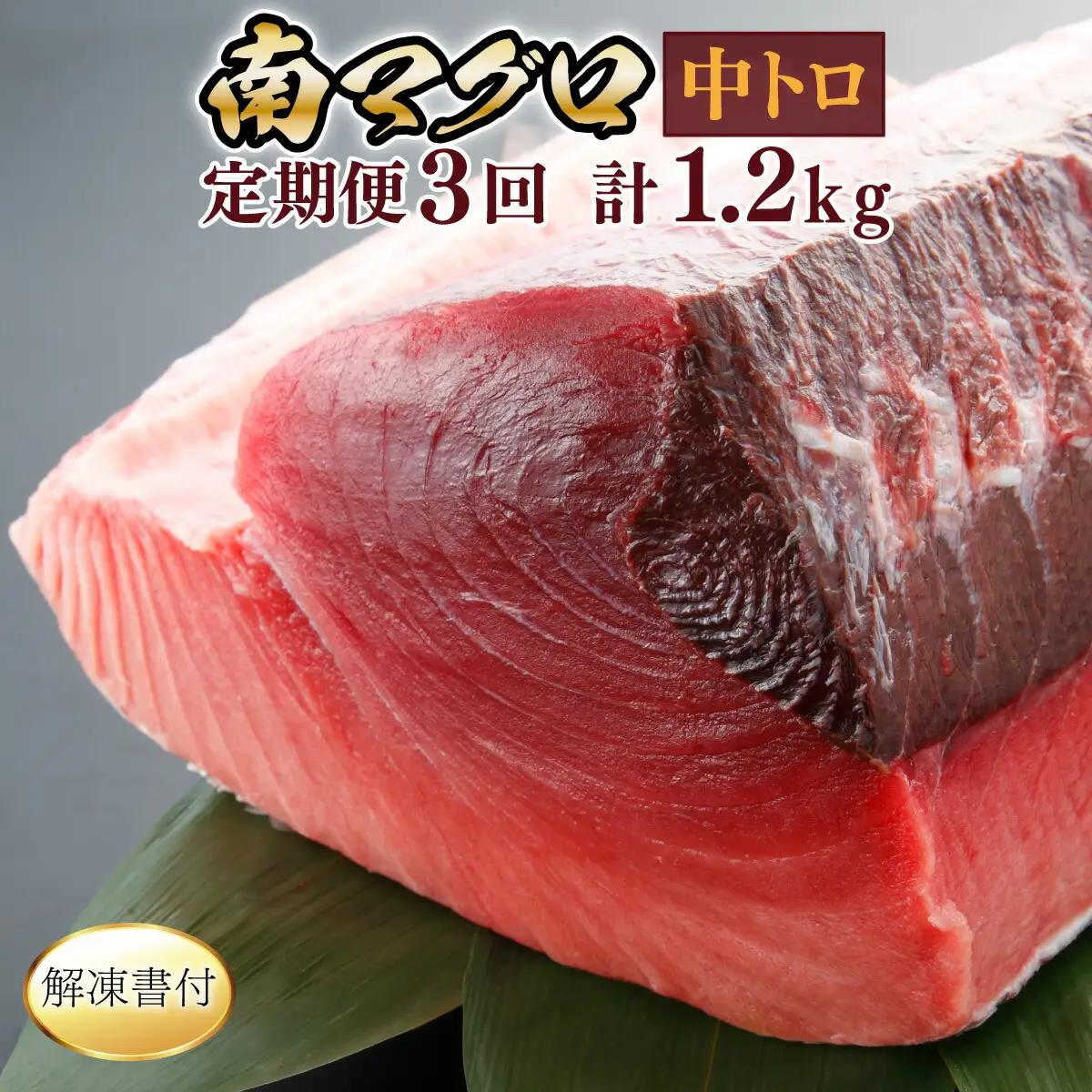 【定期便/計3回】天然南マグロ中トロ（2柵）【まぐろ】eb020