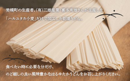 大人気の北海道小麦使用「はるゆたかうどん 平麺」 うどん 麺 めん 北海道 美幌町 送料無料 BHRH013