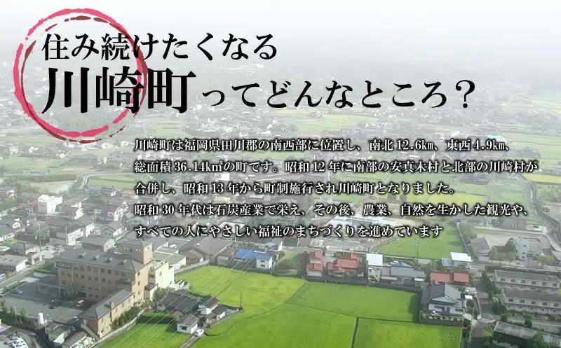【果汁100%】 りんごジュース 2本セット (サンフジ / 710ml × 2本 ) ｜ 川崎町 観光りんご園 DEI