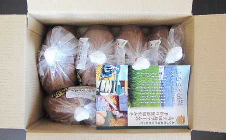 つちっこ田島ファーム 二年熟成 あやこがね味噌 1kg入り×5袋（合計5kg） みそ 