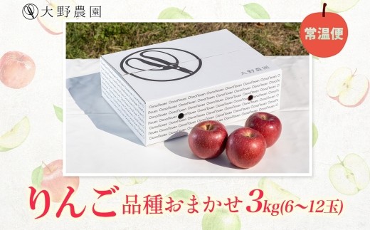 りんご3kg（品種お任せ）6～12玉