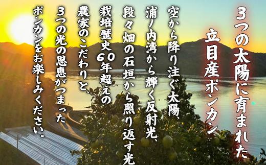 【 早期予約受付開始 】 2026年1月中旬より順次発送 立目産 ポンカン 訳あり 5kg 2026年 収穫分 家庭用 みかん 高知 須崎 TMS001