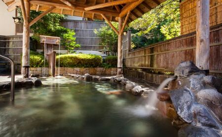 食事券 山水園 赤目温泉 ペア 日帰り 食事券